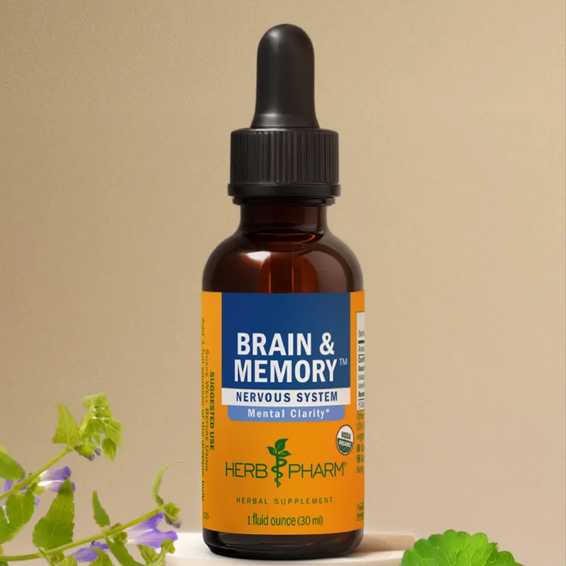 The amber Brain & Memory bottle on a small stand among ginkgo leaves, gotu kola and skullcap flowers